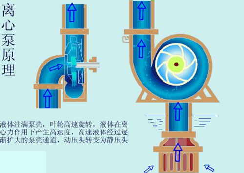 離心泵啟動時要不要關閉出口閥門